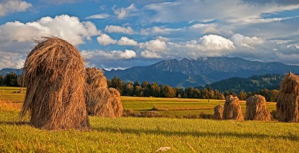 Atrakcyjna jesień w Tatrach
